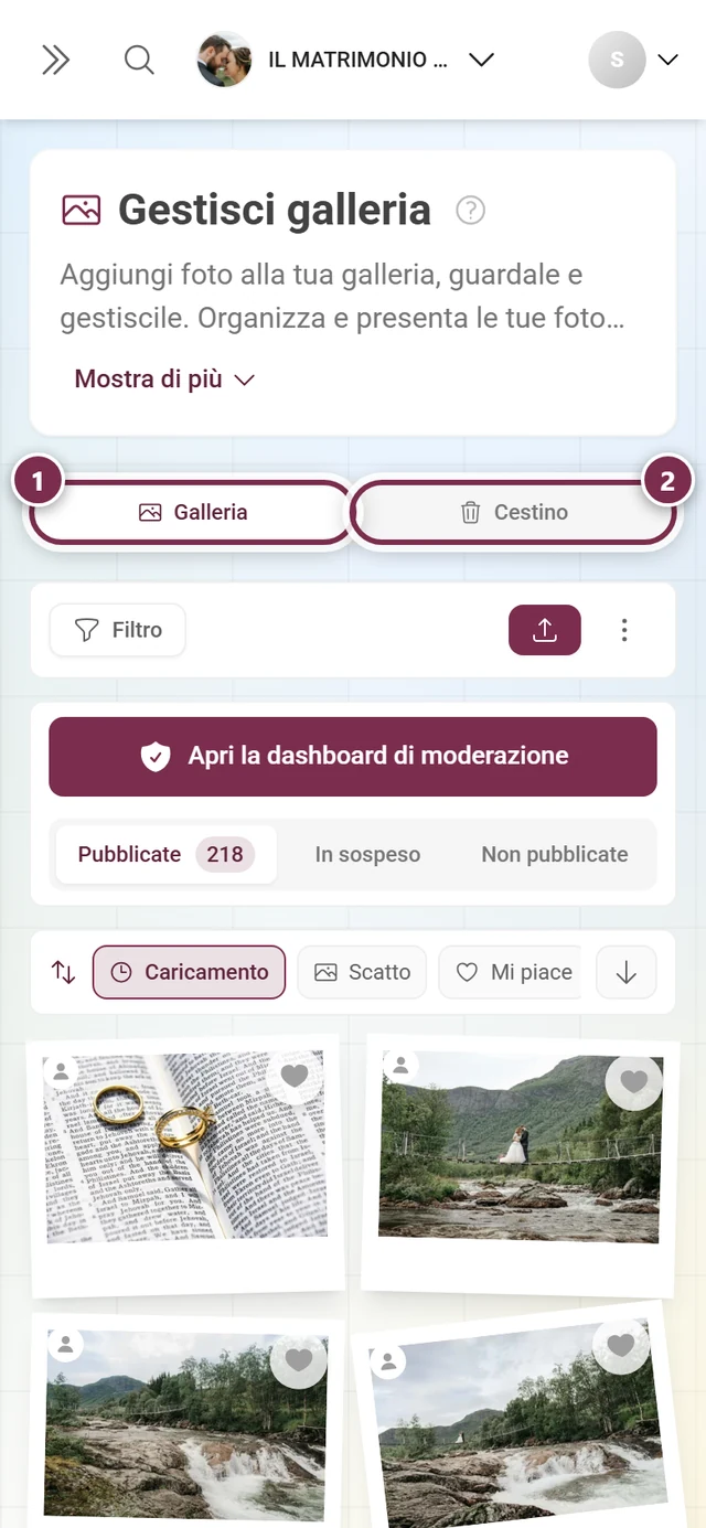 La barra delle schede della pagina con le schede Galleria e Cestino evidenziate