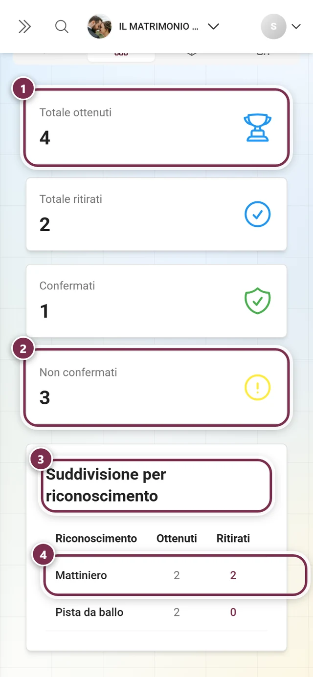 Scheda Statistiche con quattro schede riepilogative e la tabella Suddivisione per riconoscimento