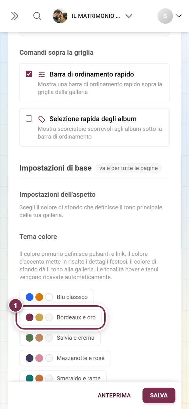 Palette di colori nella sezione Aspetto con la palette Bordeaux e oro evidenziata