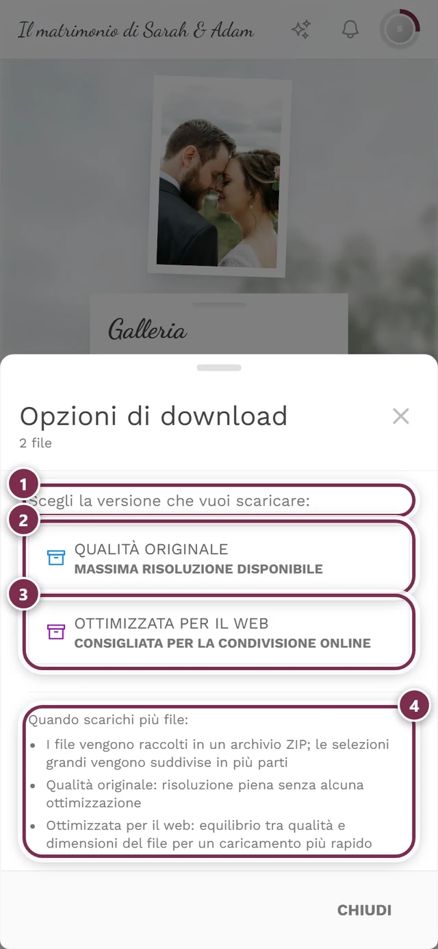 Finestra Opzioni di download con due foto contrassegnate e l'avviso ZIP