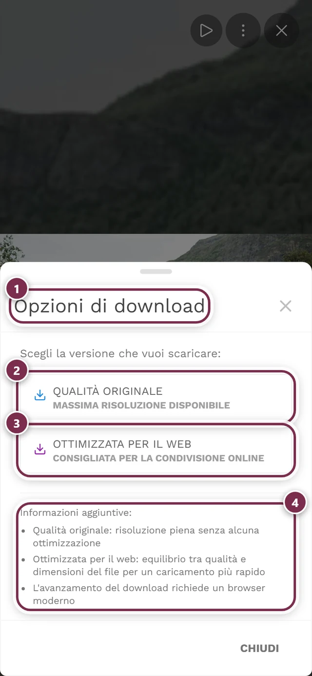 Finestra Opzioni di download con le scelte Qualità originale e Ottimizzata per il web evidenziate