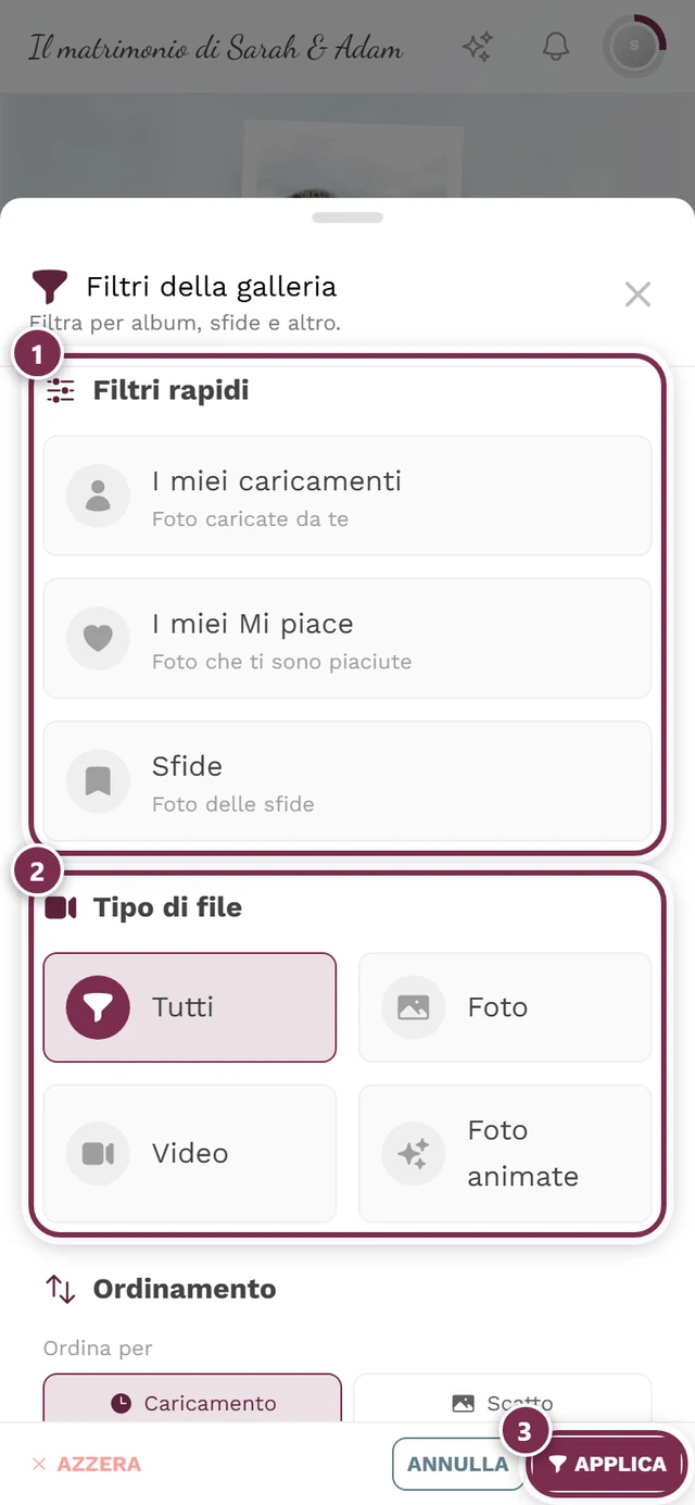 Pannello dei filtri con le sezioni Filtri rapidi, Tipo di file, Ordinamento e Album