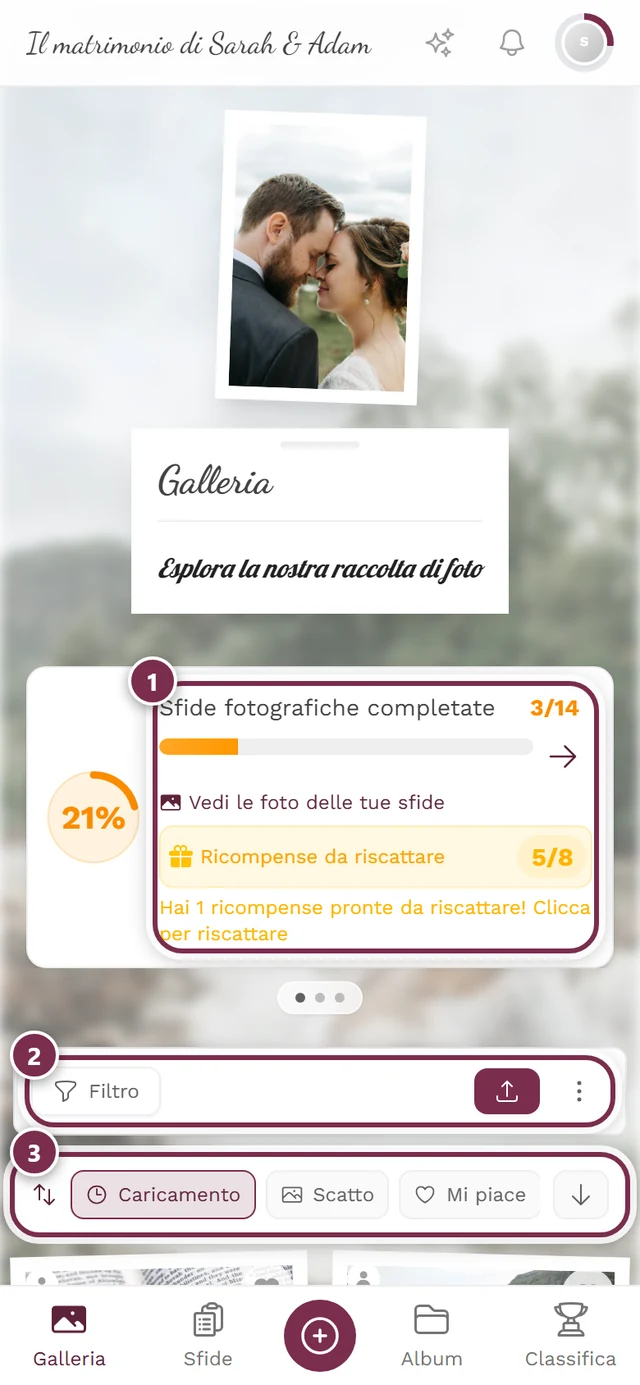 Pagina della galleria con le foto in griglia