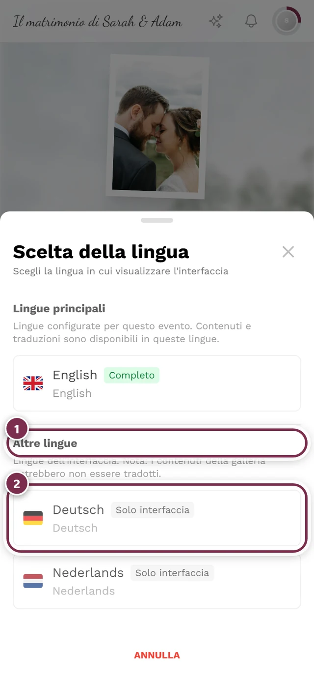 Finestra Scelta della lingua, con il gruppo Altre lingue e una voce con il distintivo Solo interfaccia evidenziati
