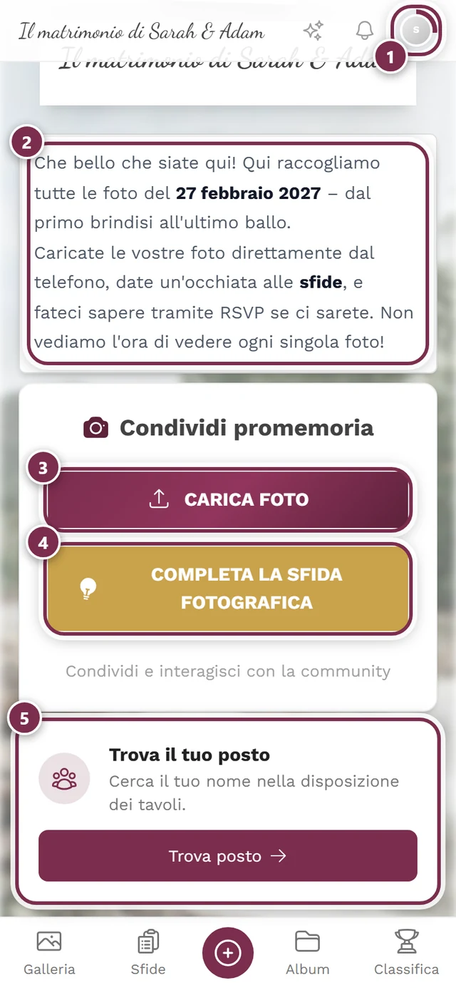 Pagina iniziale della galleria dopo l'ingresso