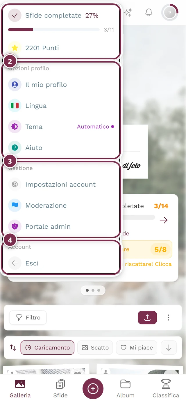 Menu del profilo aperto in alto a destra con Opzioni profilo e Gestione