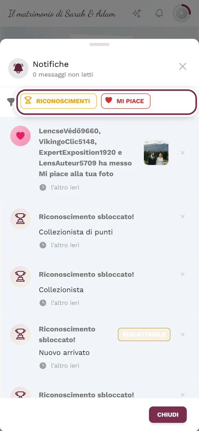 Menu delle notifiche aperto, la barra dei filtri con i chip dei tipi è evidenziata