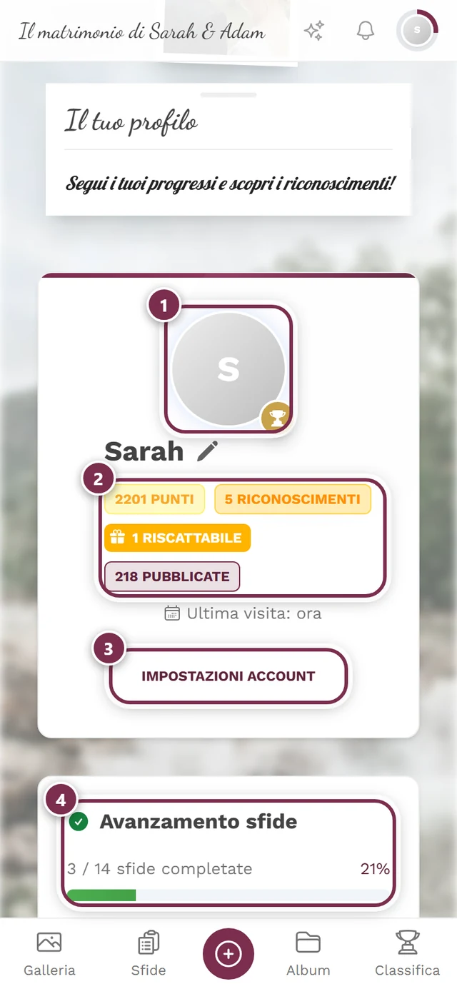 Pagina del proprio profilo con soprannome e schede delle statistiche