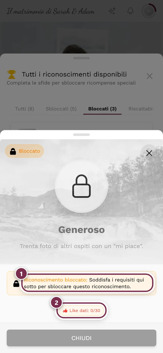 Finestra di un riconoscimento bloccato con il riquadro informativo e l'elenco dei requisiti evidenziati in rosso