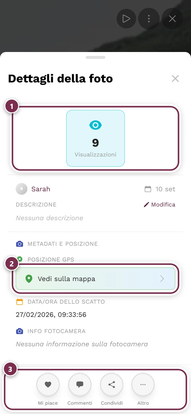Finestra dei dettagli dell'immagine con statistiche, autore del caricamento, data e informazioni sullo scatto