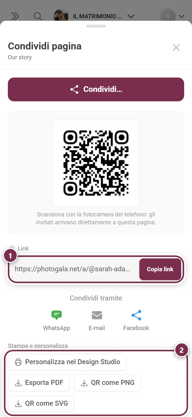 Finestra di condivisione di una pagina personalizzata con la riga del link e i quattro pulsanti di stampa e design evidenziati