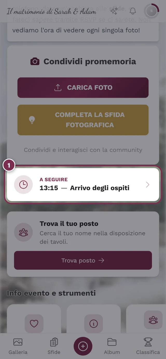 Pagina iniziale della galleria con il widget del programma A seguire