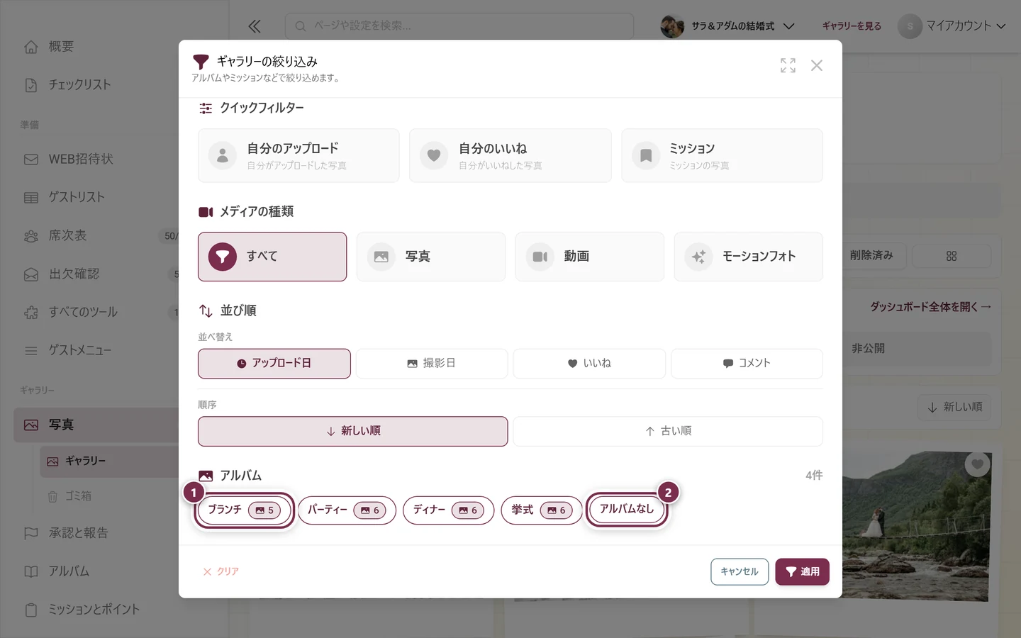 アルバムのブロック。最初のアルバムチップと「アルバムなし」チップが強調されています
