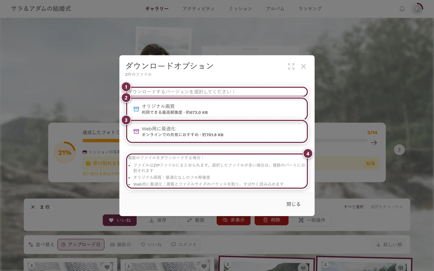 2枚の写真を選択したときのダウンロードオプションダイアログ(ZIPの案内つき)