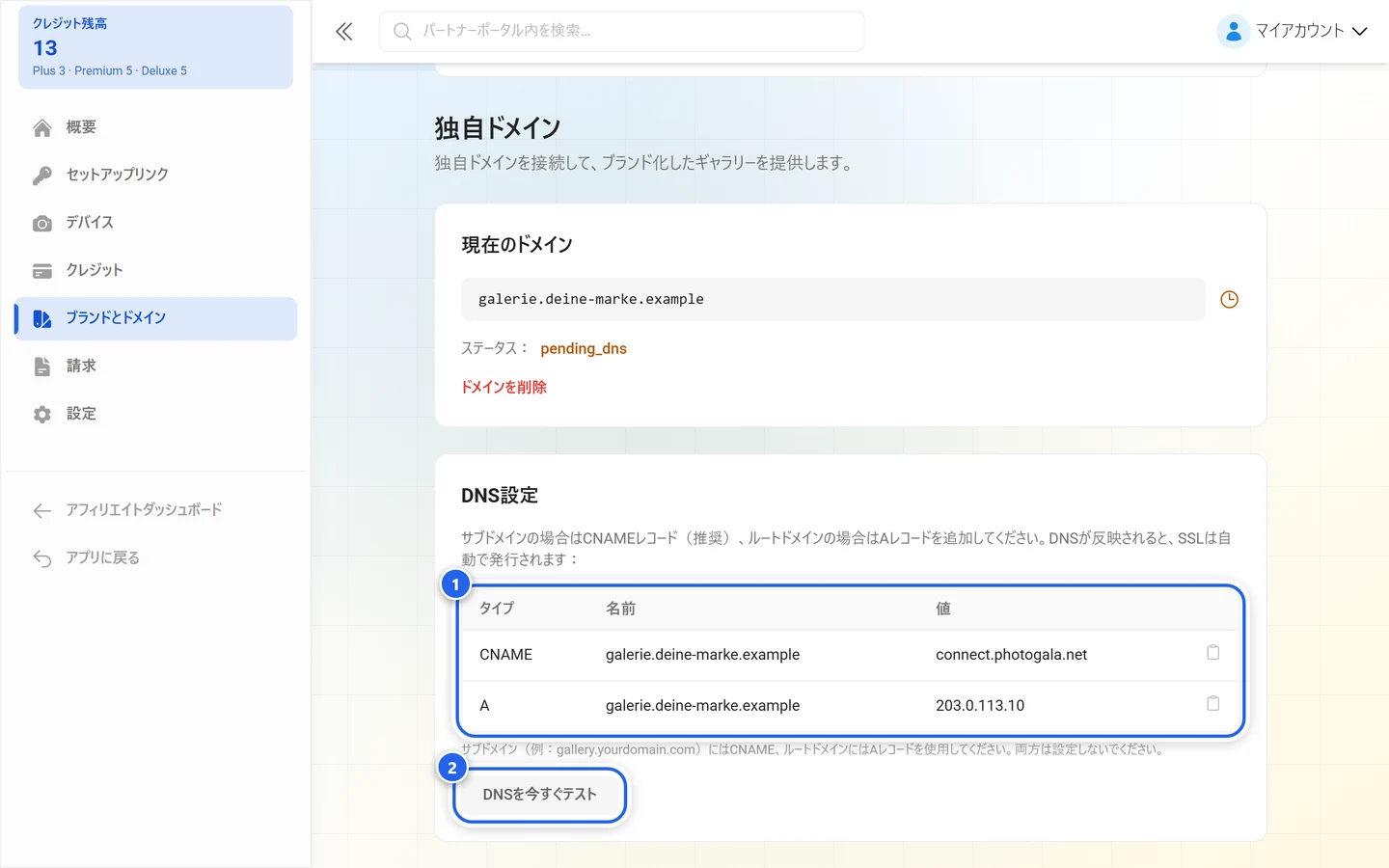 レコードの表と「DNSを今すぐテスト」ボタンが強調された、ギャラリーのドメインのDNS設定