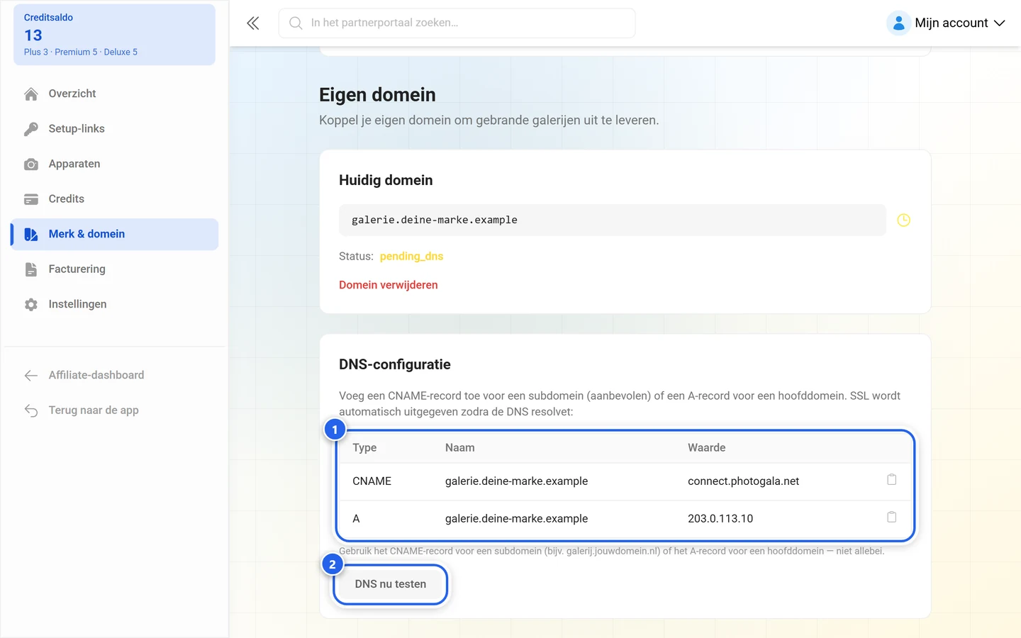 DNS-configuratie van het galerijdomein met gemarkeerde recordtabel en gemarkeerde knop DNS nu testen