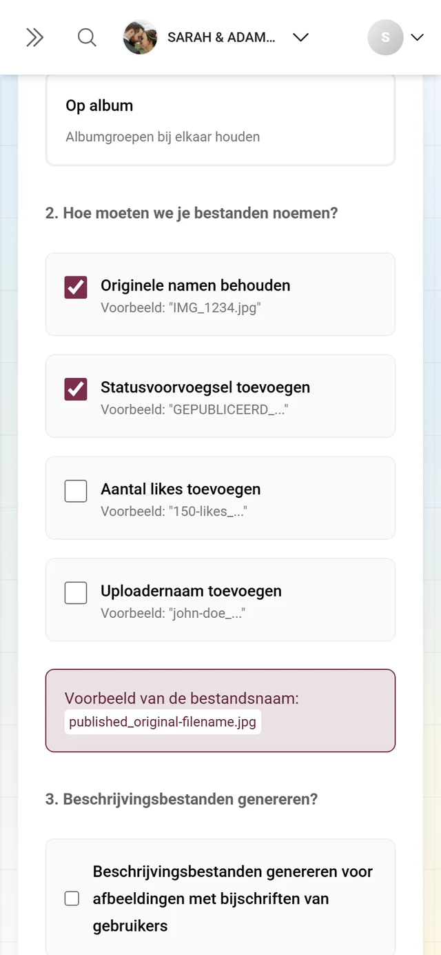 Stap 2 van de geavanceerde download met de vier naamgevingsvakjes en het voorbeeld