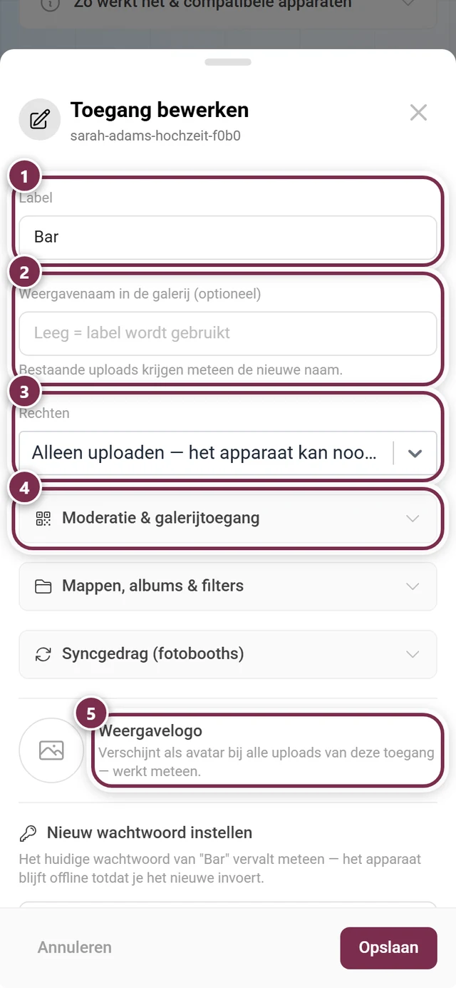 Dialoogvenster Toegang bewerken met label, weergavenaam, rechten, de drie groepen opties, weergavelogo en het onderdeel Nieuw wachtwoord instellen