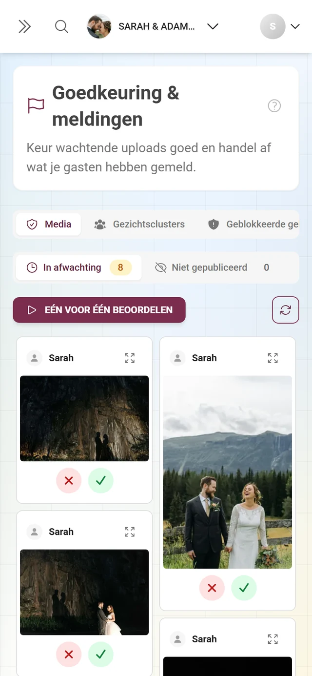 Tabblad Media met de statusbalk In afwachting 6, Niet gepubliceerd 0, Gepubliceerd 17 en zes kaarten met rood kruis en groen vinkje