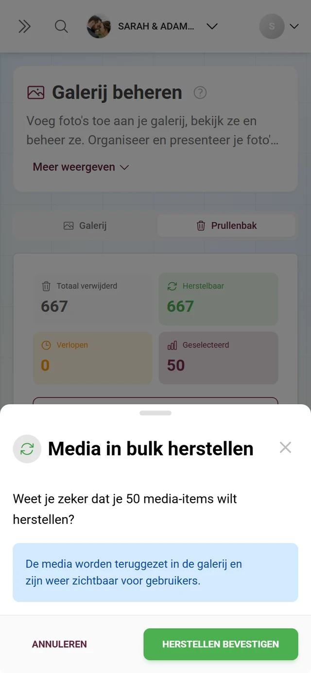 Dialoog Media in bulk herstellen met aantal en blauw infovak