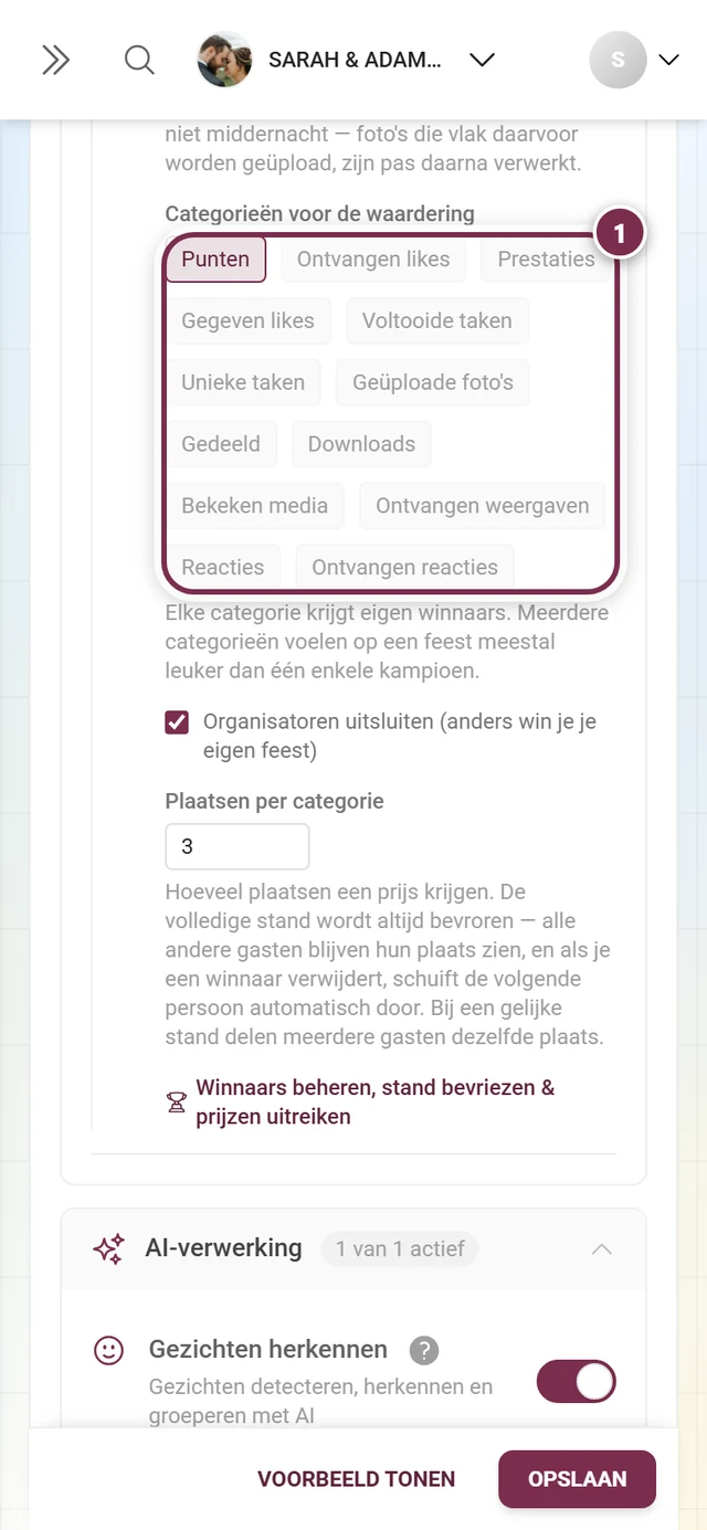 De dertien categorieën als chips, Punten geselecteerd, meerdere grijs