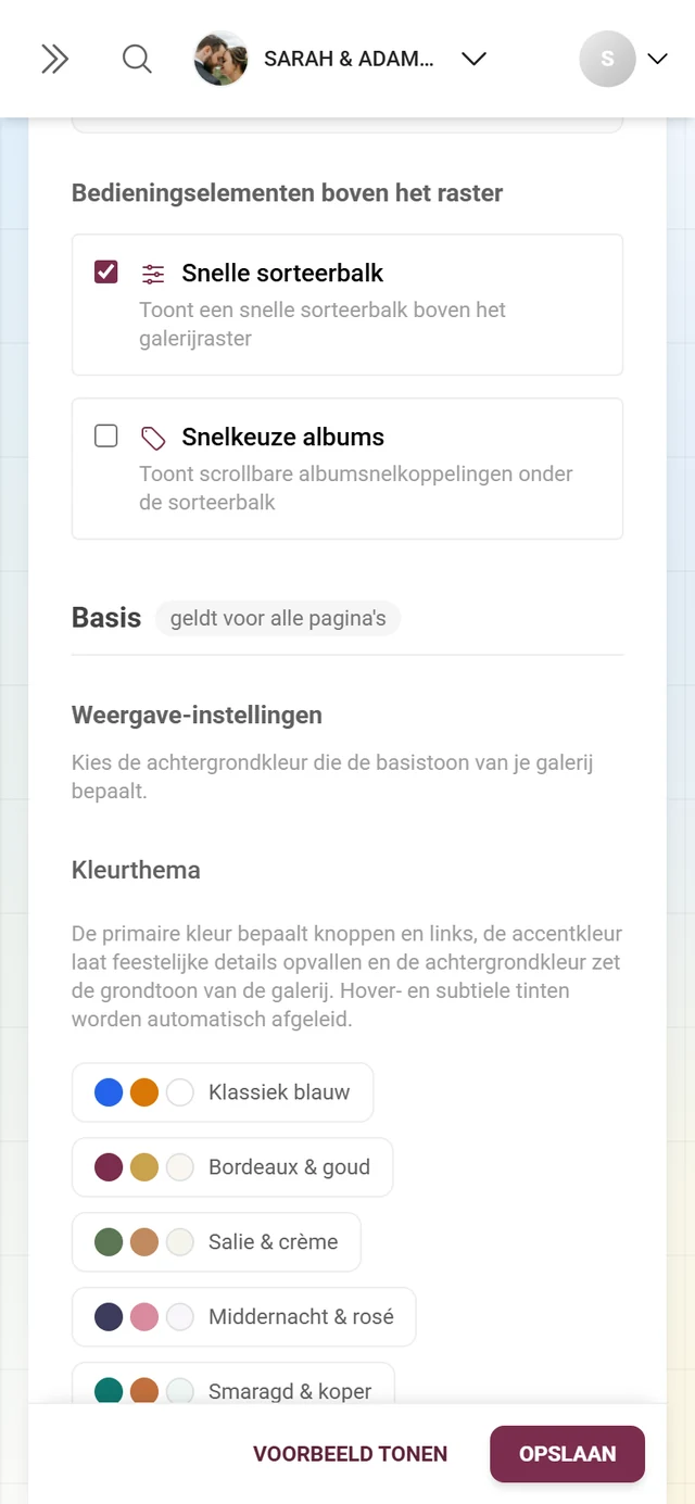 Blok Weergave-instellingen met zes kleurenpaletten plus primaire en accentkleur