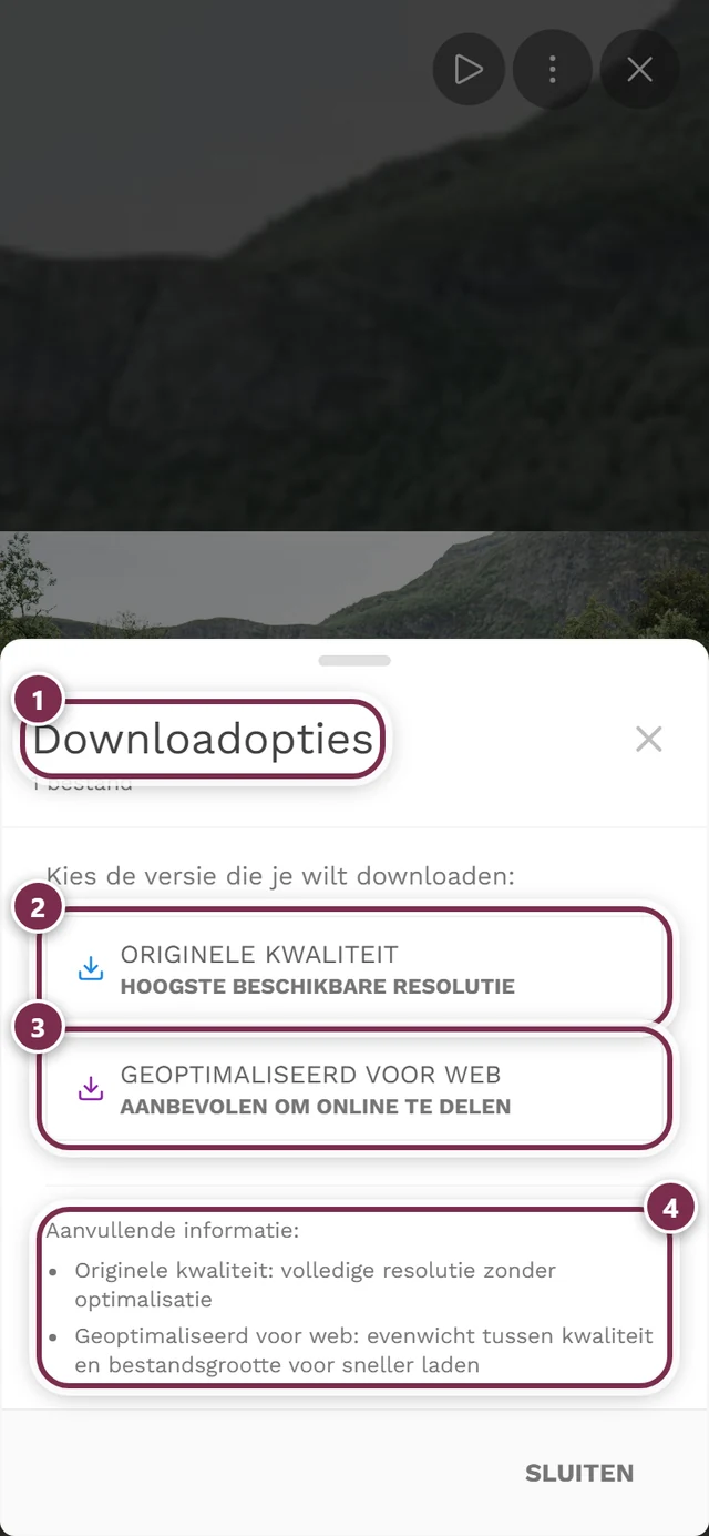 Dialoogvenster Downloadopties met de twee knoppen Originele kwaliteit en Geoptimaliseerd voor web