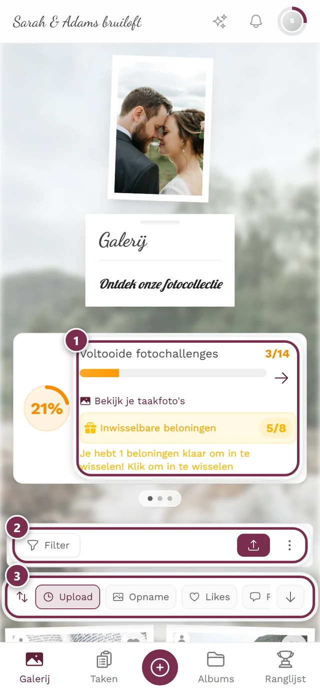Galerijpagina met de foto's in een raster