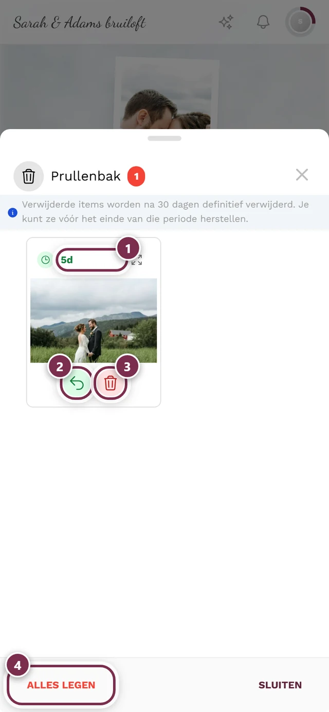 Persoonlijke prullenbak als dialoog in de galerij, met de resterende-dagen-chip, Herstellen, Definitief verwijderen en Alles legen gemarkeerd