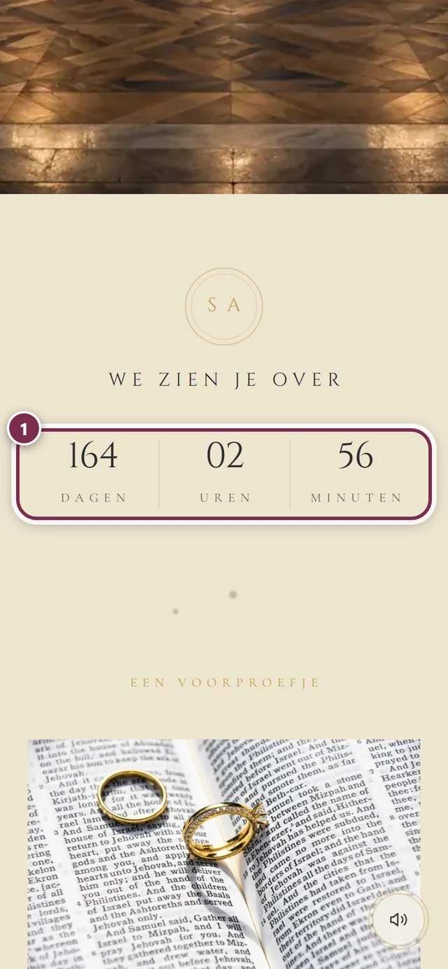 Countdown-onderdeel van de uitnodiging met de ring om de cijfervelden voor dagen, uren en minuten