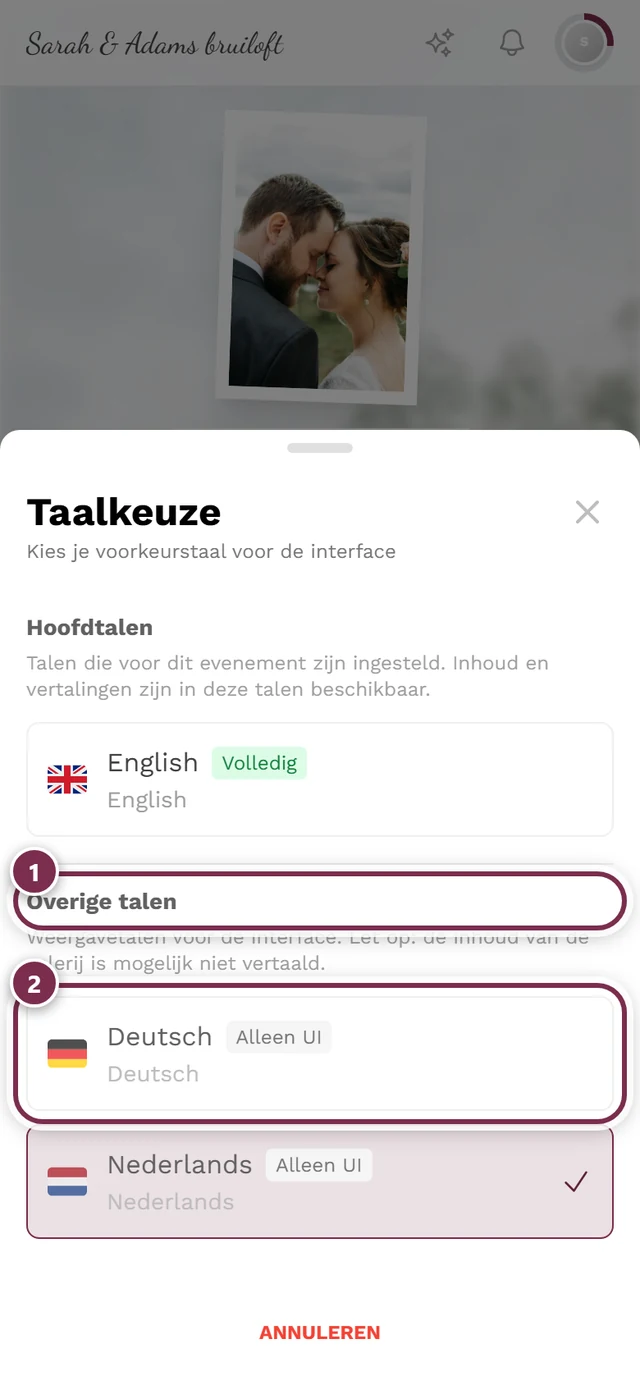 Dialoogvenster Taalkeuze, de groep Overige talen en een item met het badge Alleen UI zijn gemarkeerd