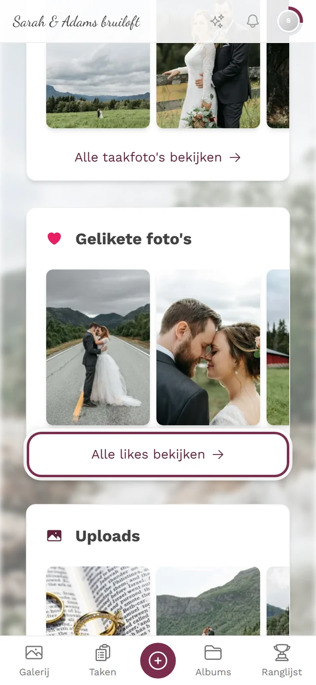 Profielpagina, gedeelte Gelikete foto's met gemarkeerde link Alle likes bekijken