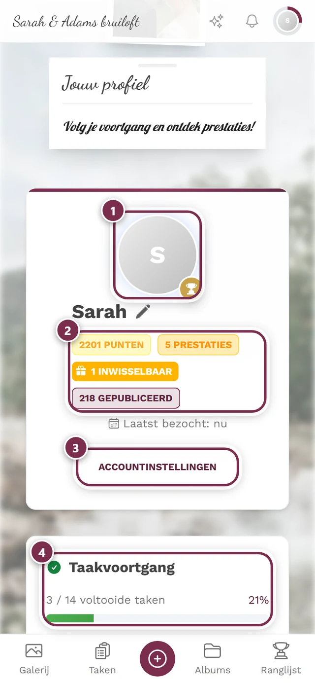 Profielpagina met punten, prestaties en rang