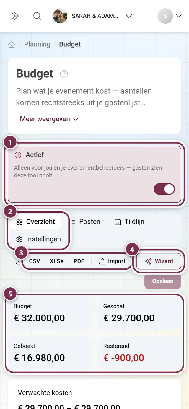 Kop van het budget met de schakelaar Actief, de vier onderdelen, export, wizard en de vier kerncijfers