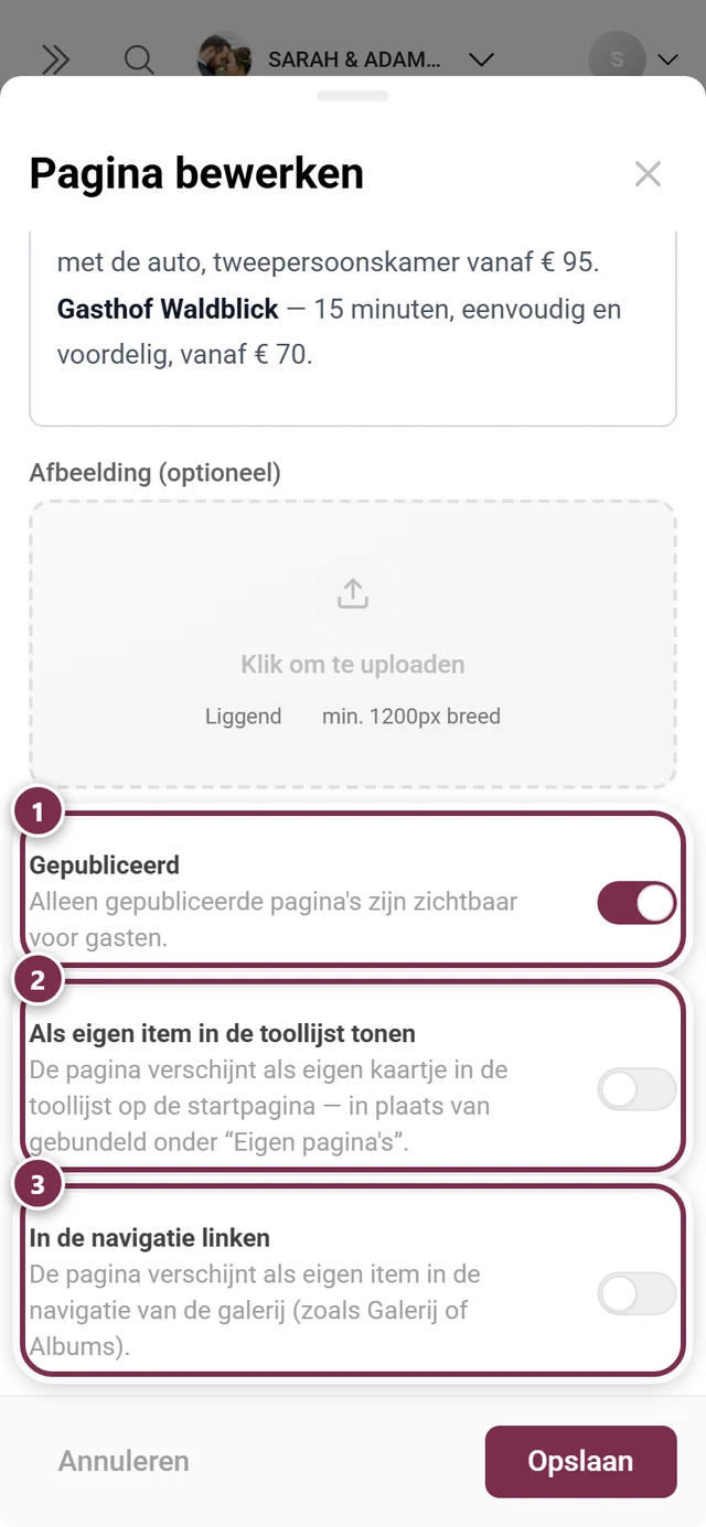De drie schakelaars van het paginavenster, elk apart gemarkeerd