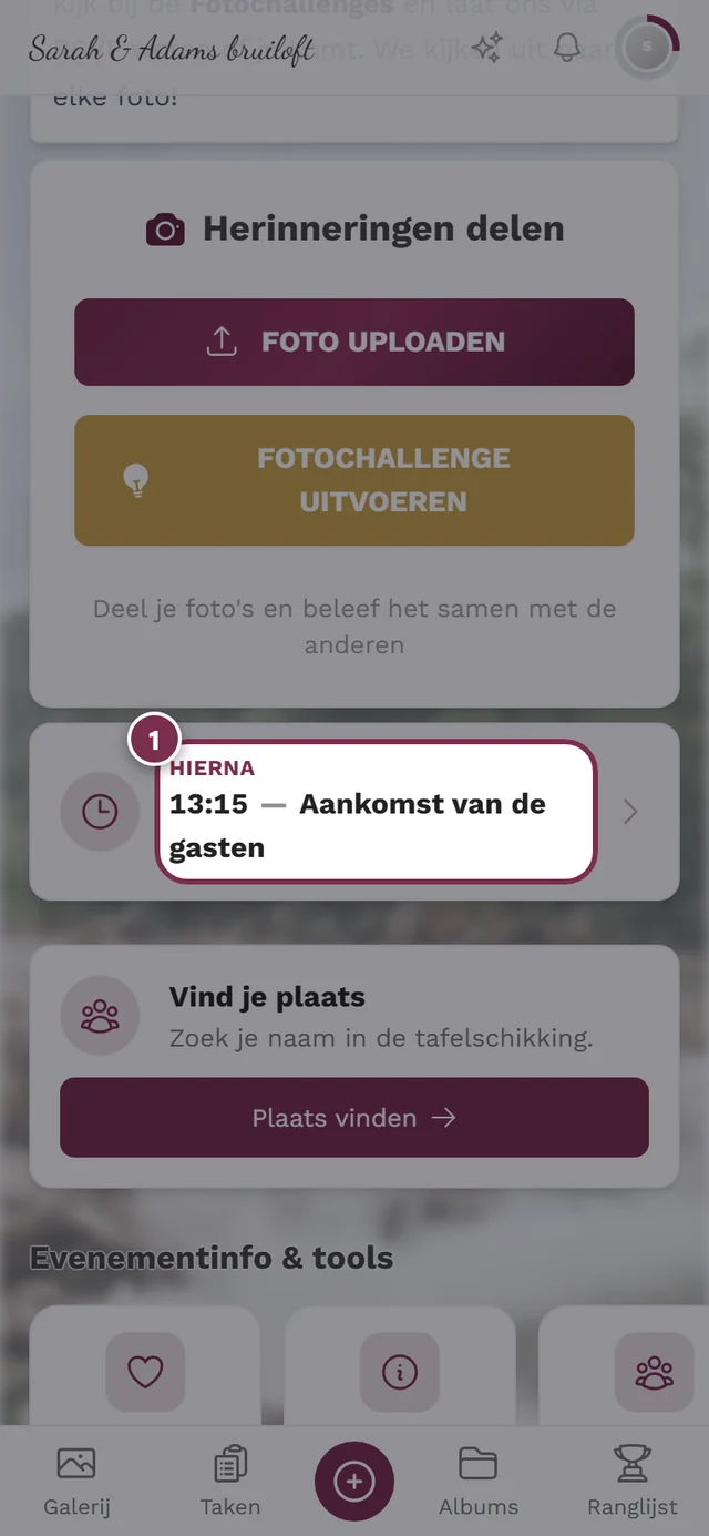 Startpagina van de galerij met het draaiboek-widget Hierna