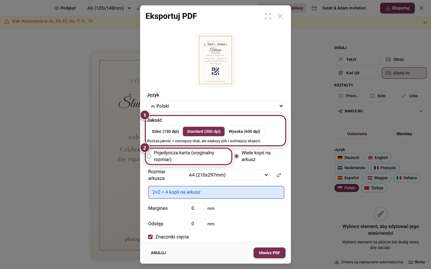 Okno eksportu Design Studio z zaznaczonym wyborem jakości i zaznaczonym wyborem układu