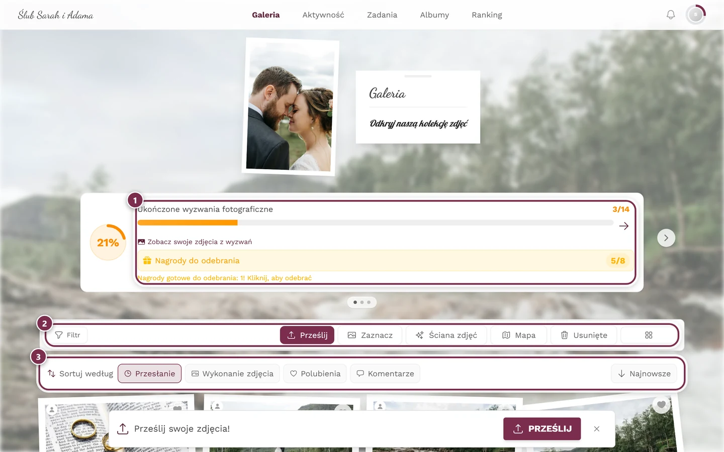 Strona galerii ze zdjęciami w siatce