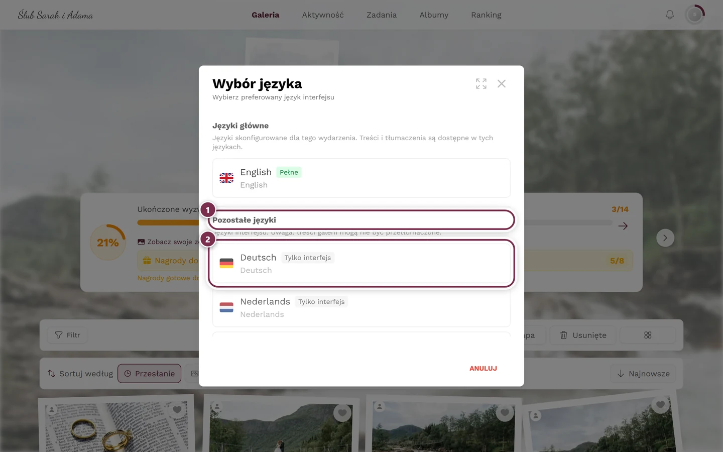 Okno wyboru języka z zaznaczoną grupą Pozostałe języki i pozycją z odznaką Tylko interfejs