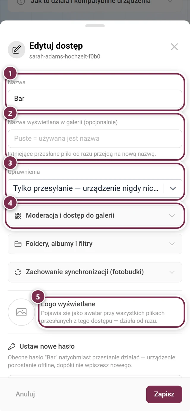 Okno Edytuj dostęp z nazwą, nazwą wyświetlaną, uprawnieniami, trzema grupami opcji, logo wyświetlanym i sekcją Ustaw nowe hasło