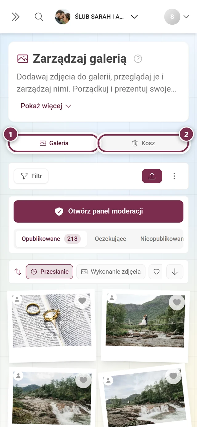 Pasek kart strony z zaznaczonymi kartami Galeria i Kosz