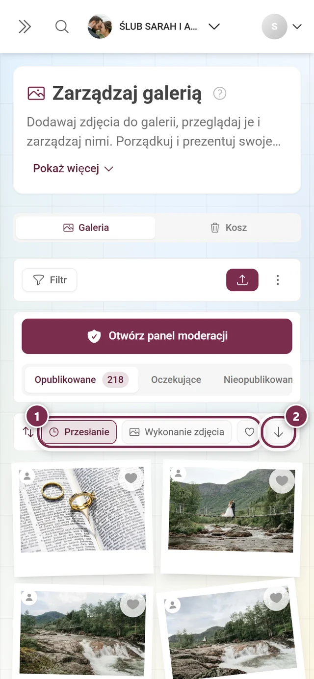 Pasek sortowania z zaznaczonymi kryteriami i zaznaczonym przyciskiem kierunku