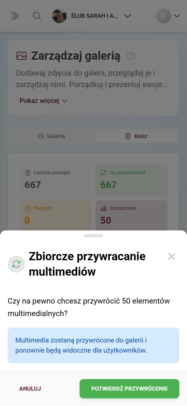 Okno Zbiorcze przywracanie multimediów z liczbą elementów i niebieskim polem informacyjnym