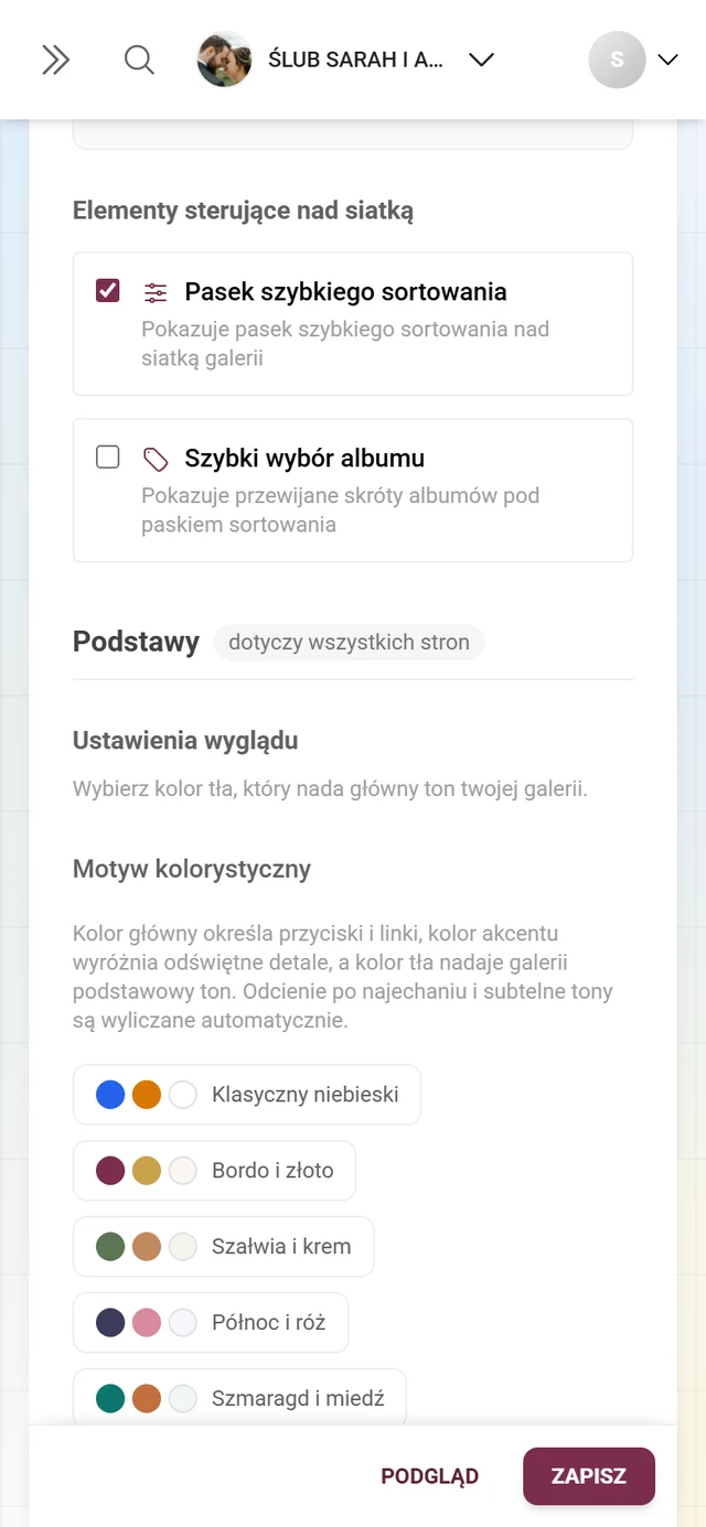 Blok Ustawienia wyglądu z sześcioma paletami kolorów oraz kolorem głównym i kolorem akcentu