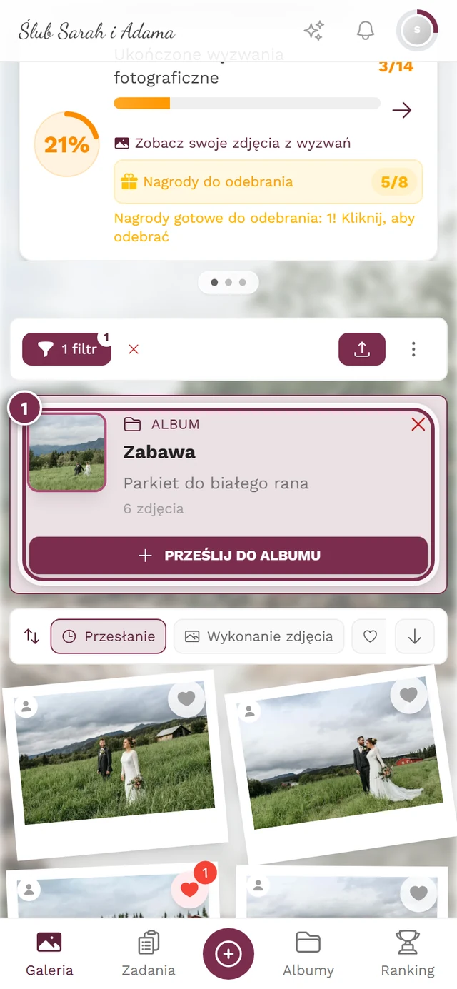 Siatka galerii z ramką Aktywne filtry i chipem albumu nad nią