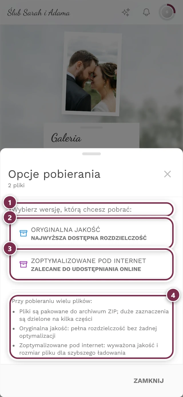 Okno Opcje pobierania przy dwóch zaznaczonych zdjęciach z informacją o ZIP