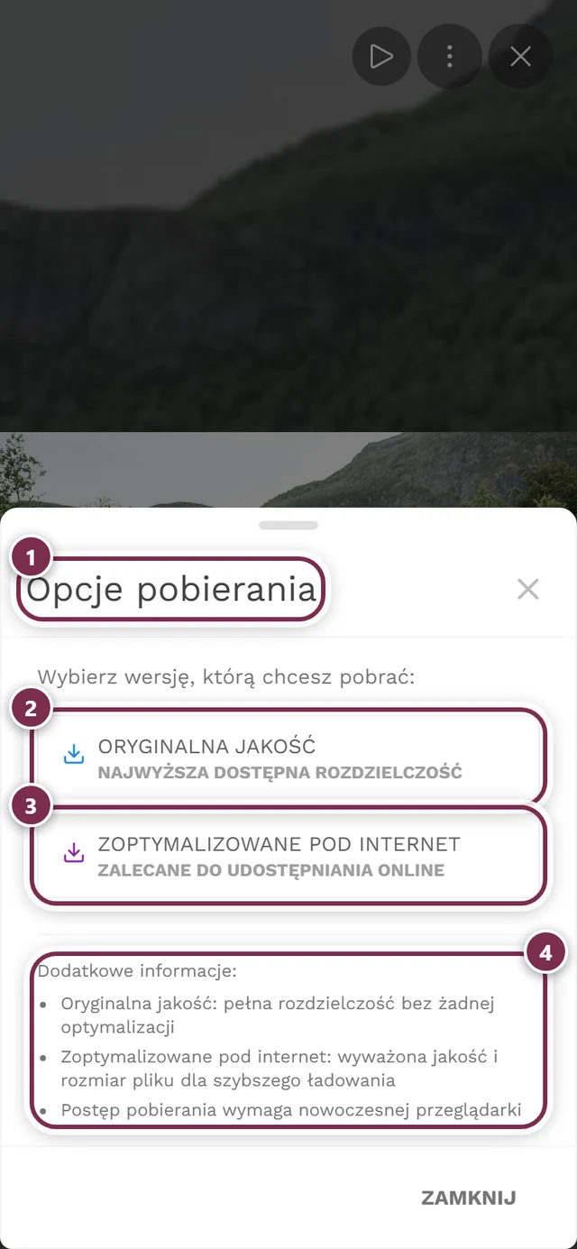 Okno Opcje pobierania z zaznaczonymi możliwościami Oryginalna jakość i Zoptymalizowane pod internet
