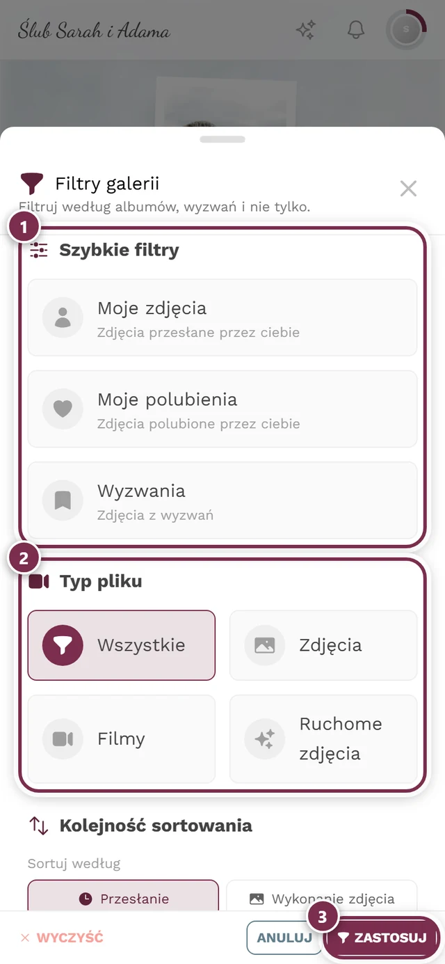 Panel filtrów z sekcjami Szybkie filtry, Typ pliku, Kolejność sortowania i Albumy