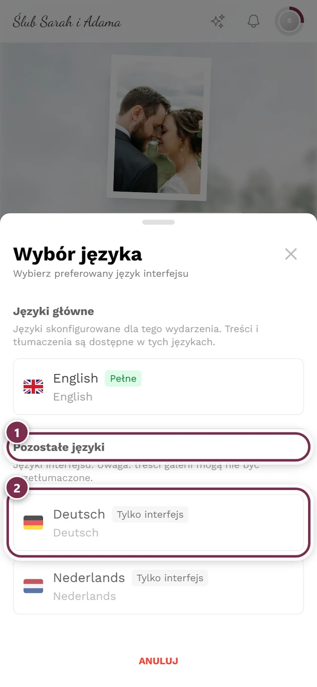 Okno wyboru języka z zaznaczoną grupą Pozostałe języki i pozycją z odznaką Tylko interfejs