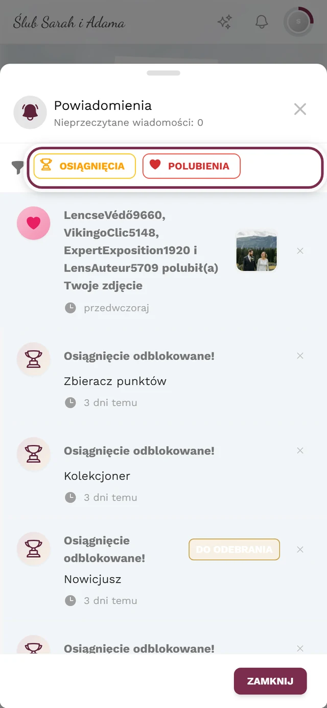 Otwarte menu powiadomień z zaznaczonym paskiem filtrów według typu
